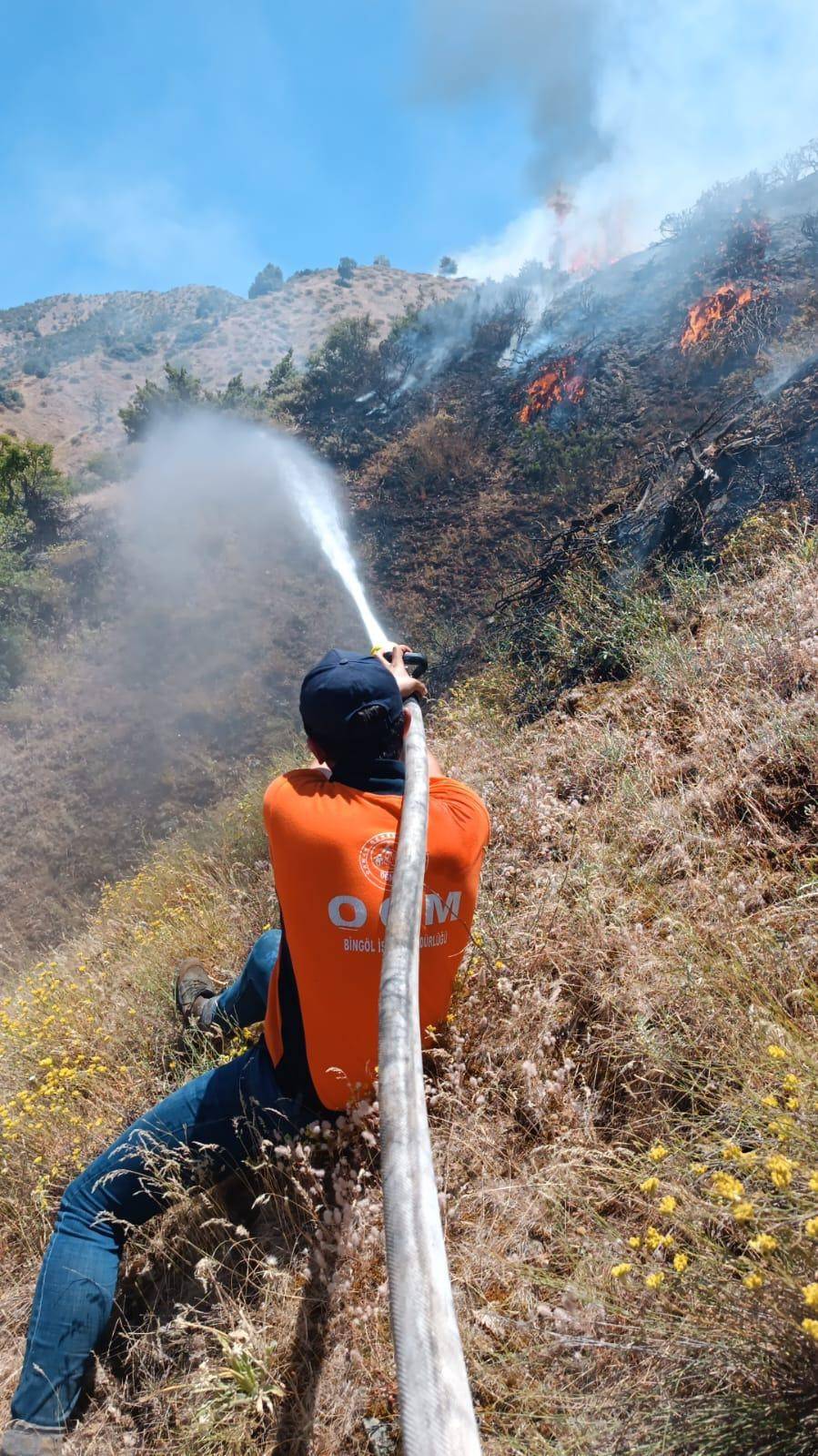 Bingöl'ün Genç ve Kiğı ilçelerinde orman yangını 6